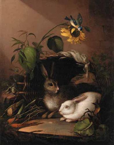 Carl Johann Lasch Two rabbits in an upturned basket with a blue tit on a sunflower France oil painting art